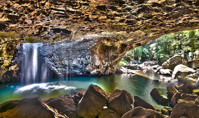 A Quick Guide to Springbrook National Park