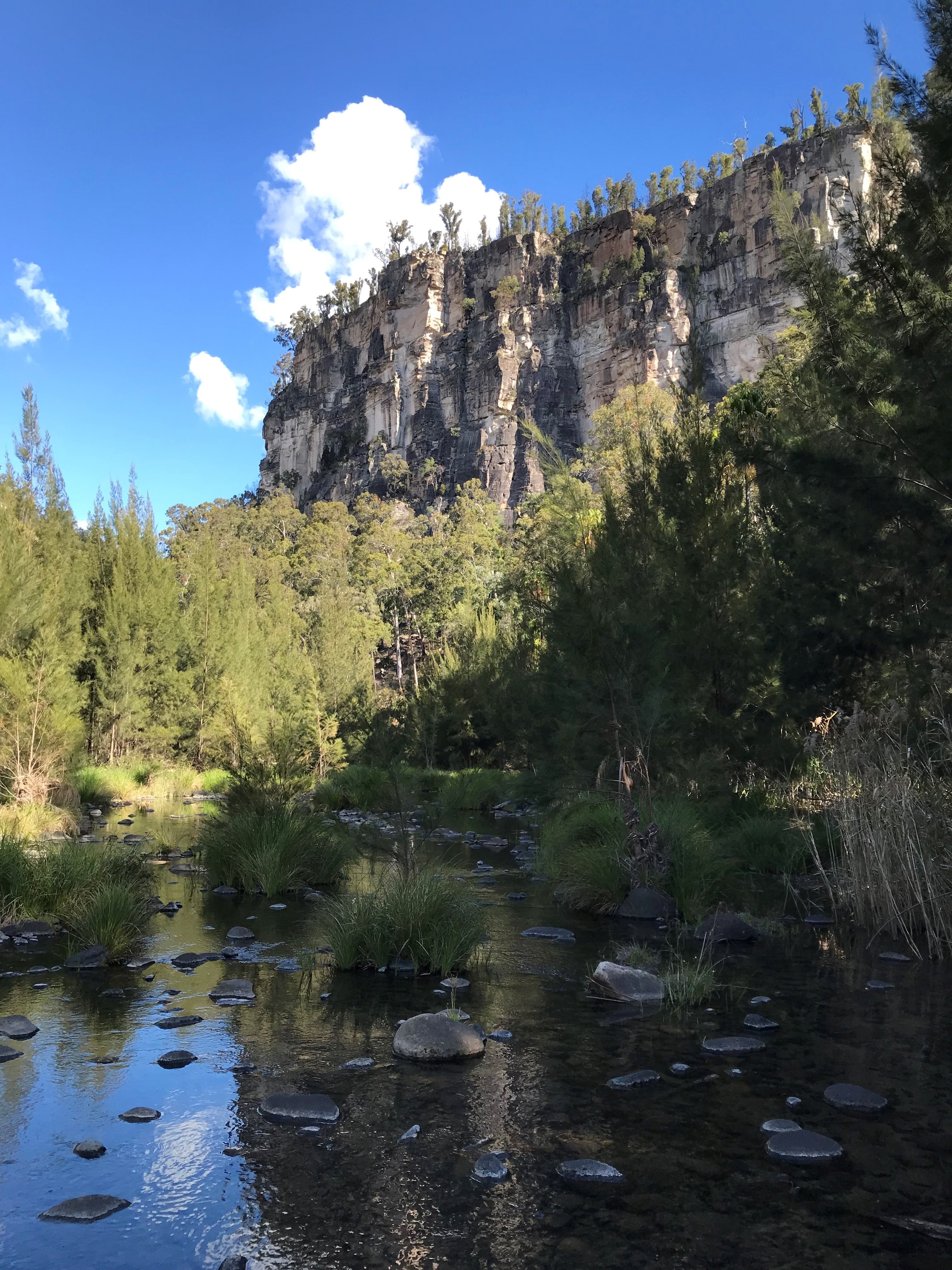 rock formations in carnarvon gorge national park in outback queensland australia