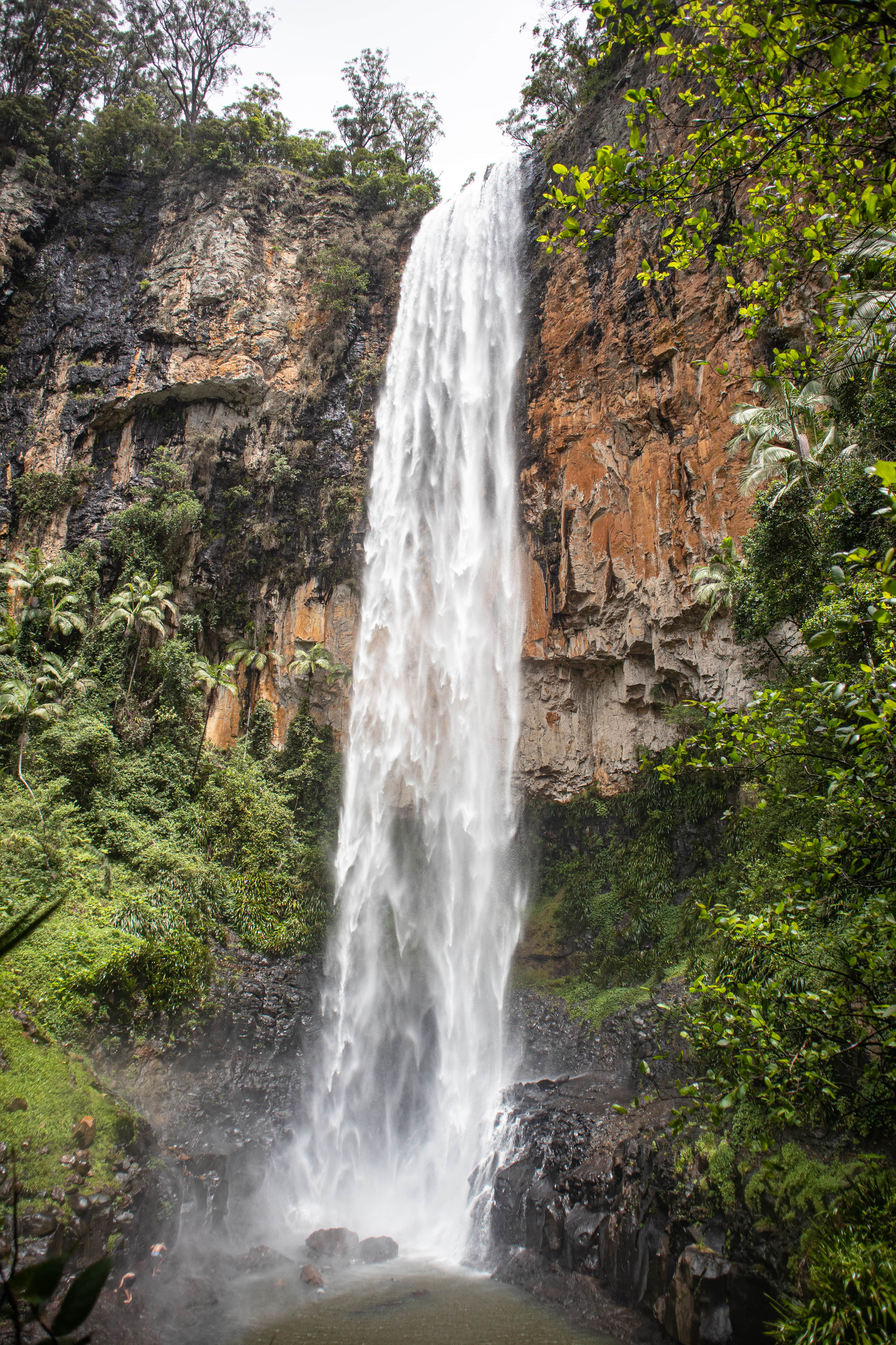 Purlingbrook Falls Springbrook National Park in Gold coast Queensland