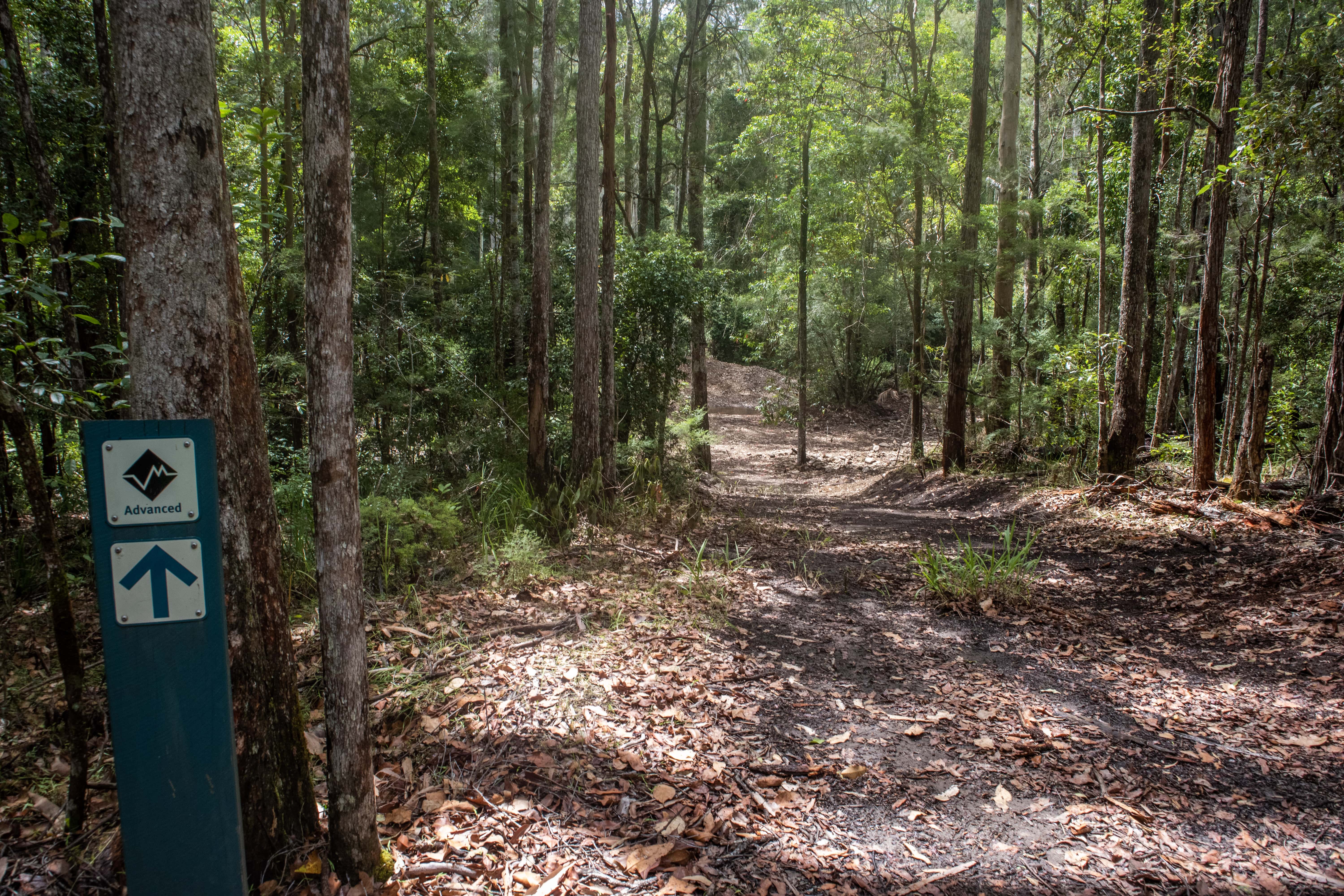 Advanced trail signage at Waterfall Creek Circuit along the 48km and 96km Gold Coast Kokoda Challenge hiking trail