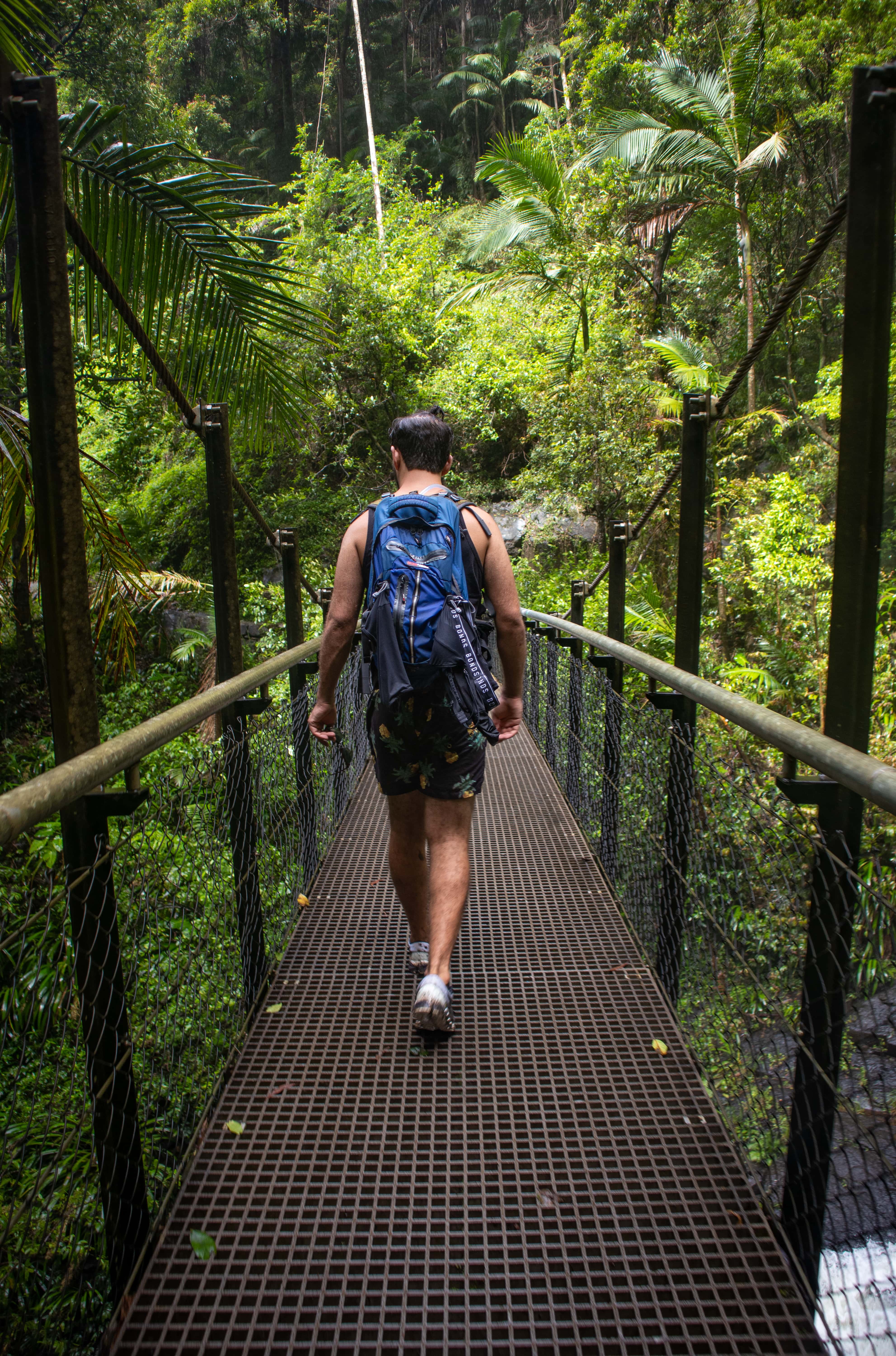 Man with blue backpack walking over a bridge in the rainforest